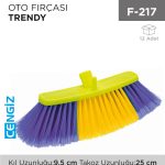 OTO FIRÇASI TRENDY (F 113)