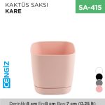 KAKTÜS SAKSI KARE (0.25 LT)
