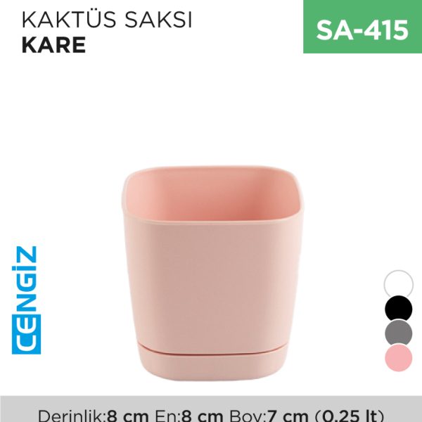 KAKTÜS SAKSI KARE (0.25 LT)