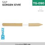 SAP GÜRGEN SİVRİ