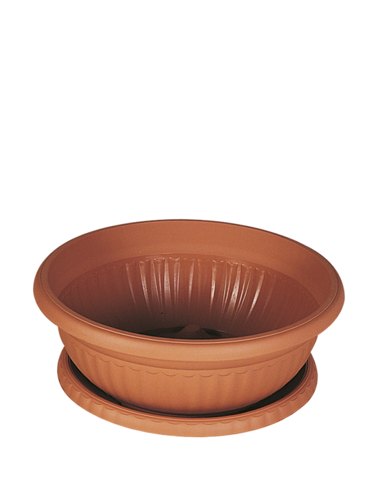 ARAJMAN SAKSI BÜYÜK (5755) ARAJMAN SAKSI BÜYÜK (5755)