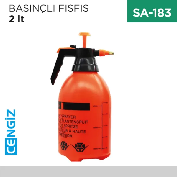 BASINÇLI FISFIS 2 LT
