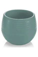 ELVAN KAKTÜS SAKSI NO:1 (EKS-01)