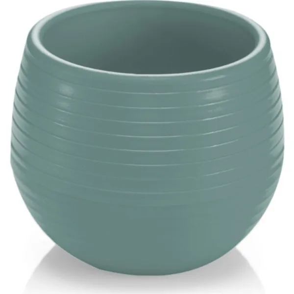 ELVAN KAKTÜS SAKSI NO:1 (EKS-01)