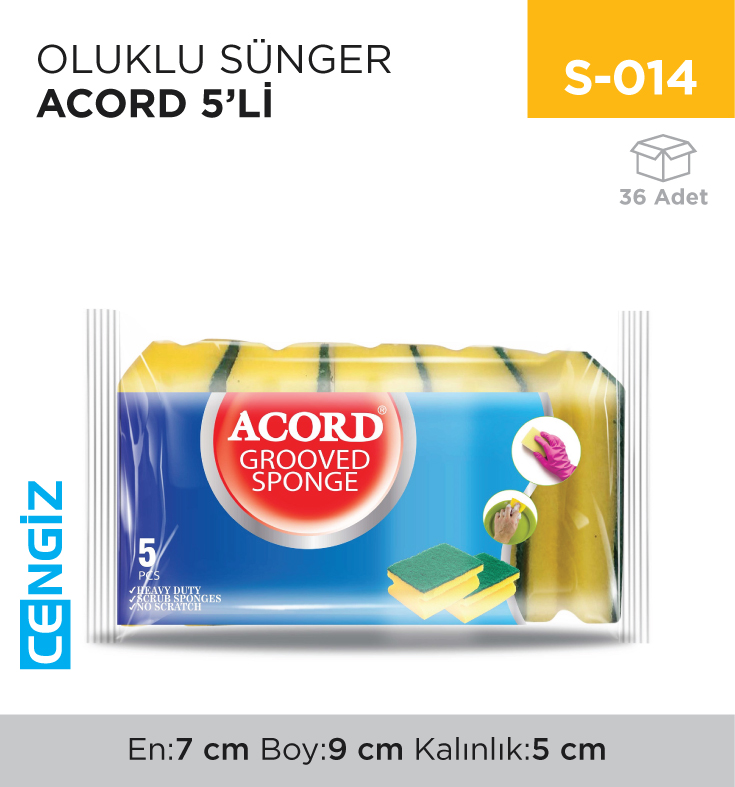 OLUKLU SÜNGER ACORD 5Lİ (521)
