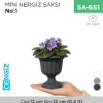 MİNİ NERGİS SAKSI NO:1 (MN01) (0