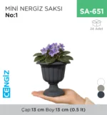MİNİ NERGİS SAKSI NO:1 (MN01) (0