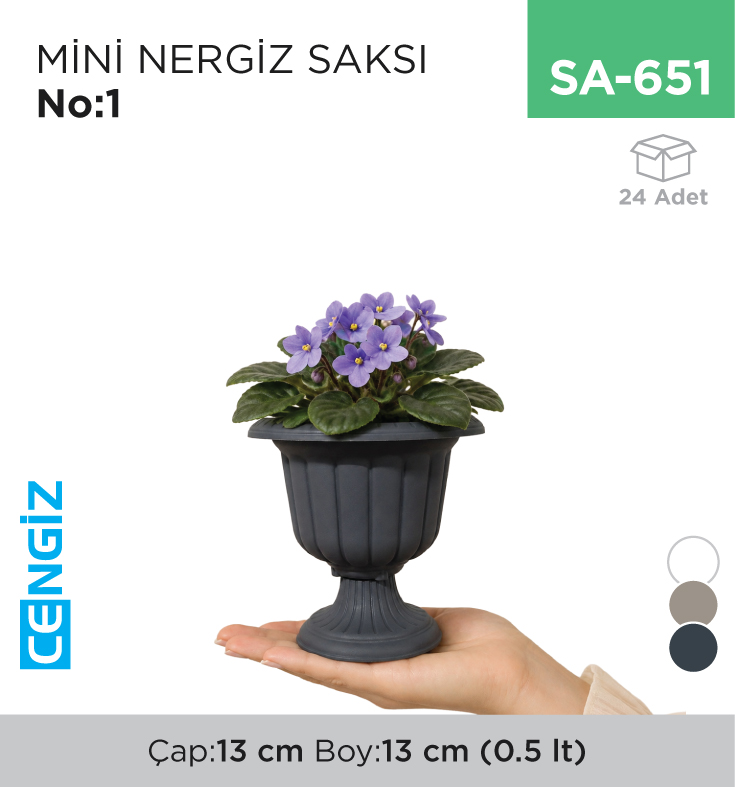 MİNİ NERGİS SAKSI NO:1 (MN01) (0