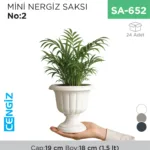 MİNİ NERGİS SAKSI NO:2 (MN02) (1